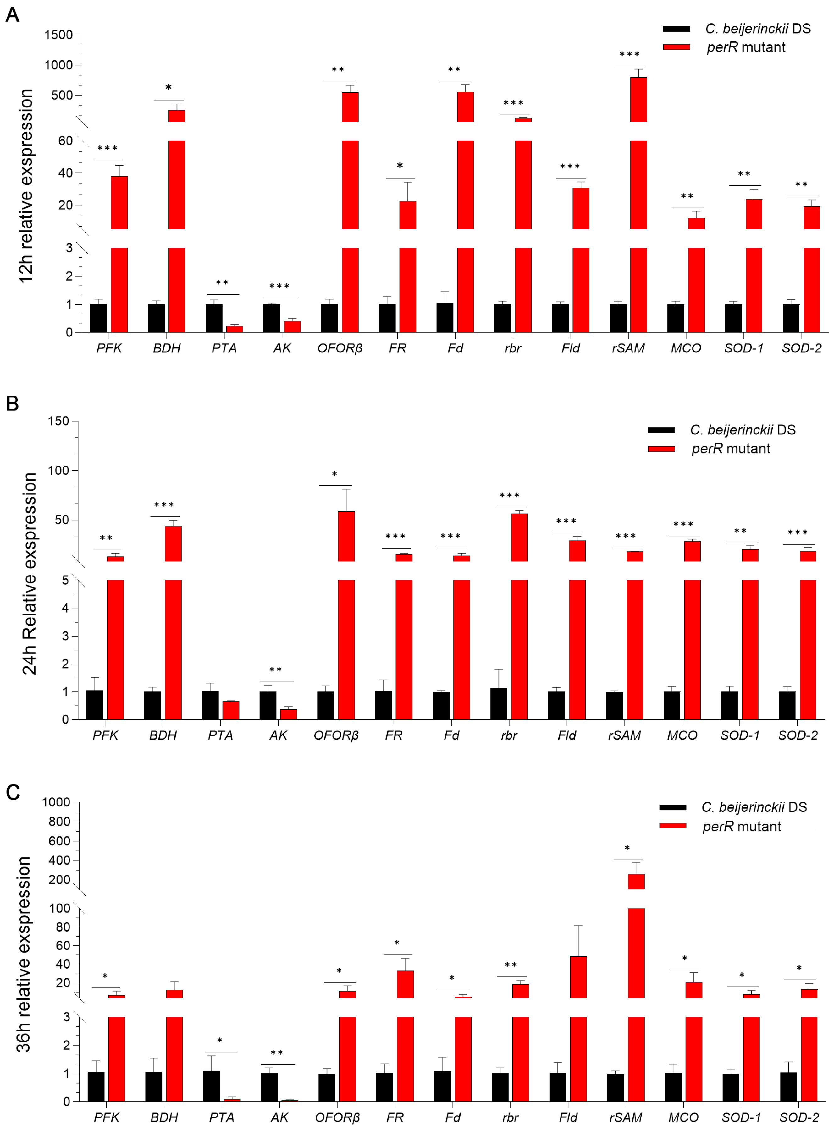 Fermentation 11 00526 g006 Fermentation 11 00526 g006