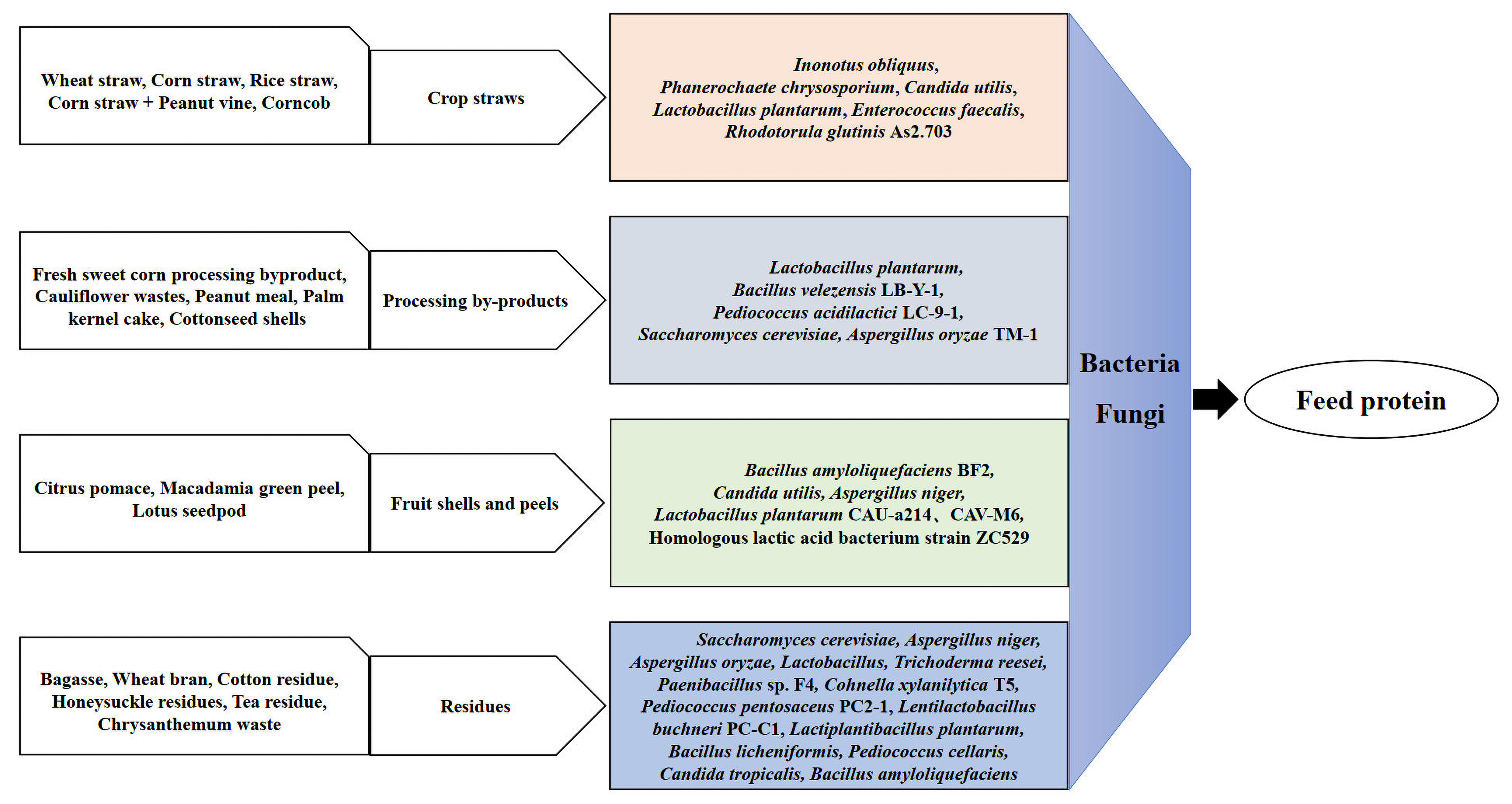 Fermentation 11 00528 g001