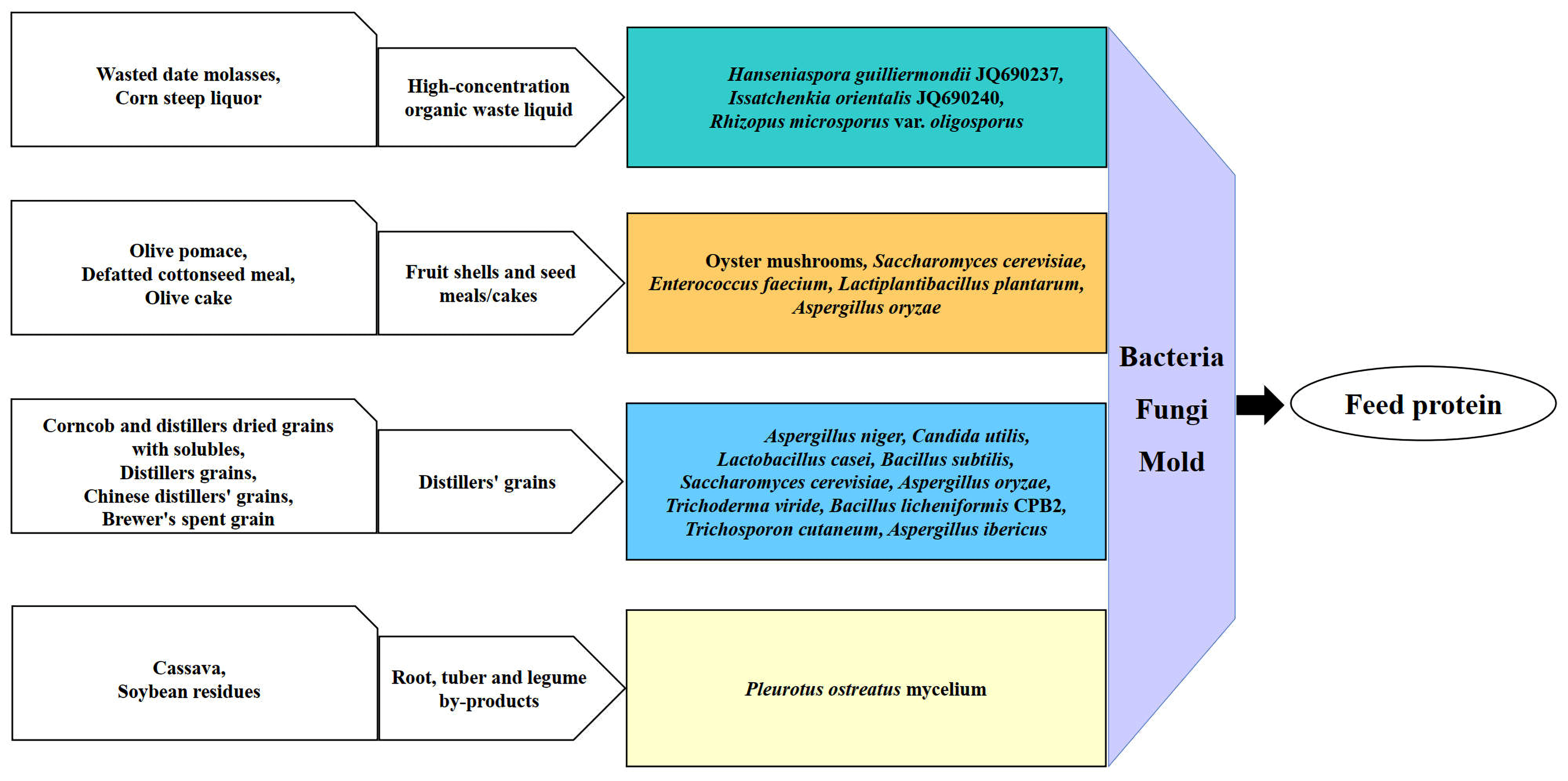 Fermentation 11 00528 g002