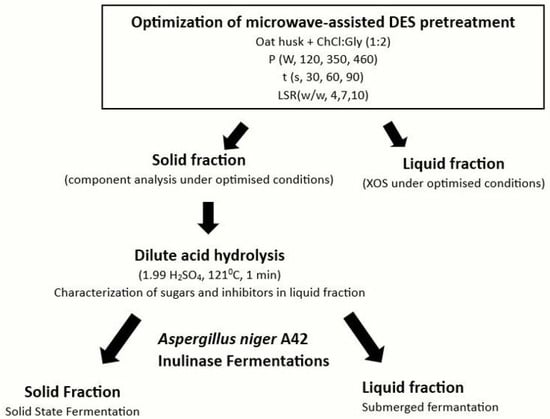 Fermentation 11 00561 g001