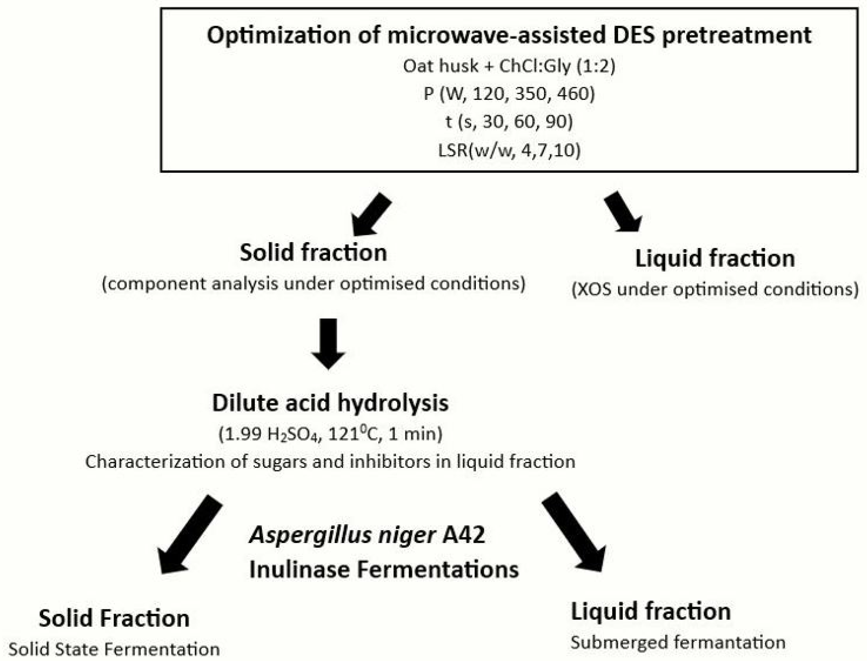 Fermentation 11 00561 g001