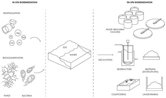 Fermentation 11 00573 g006