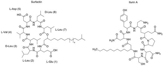 Fermentation 11 00592 g004