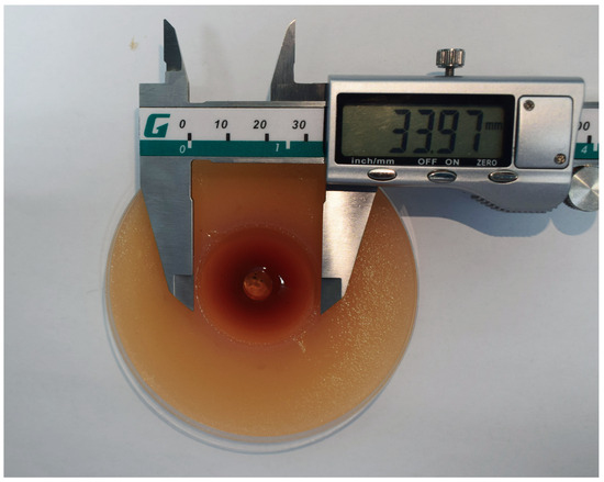 Fermentation 11 00656 g002