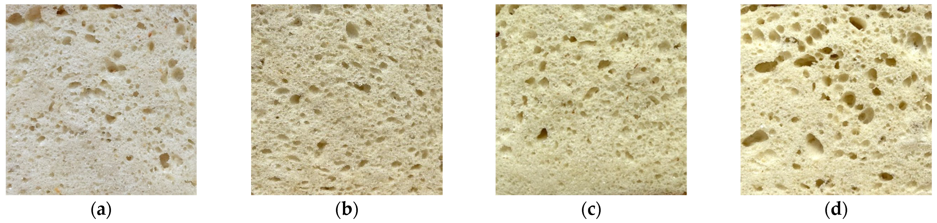 Fermentation 11 00686 g001 Fermentation 11 00686 g001