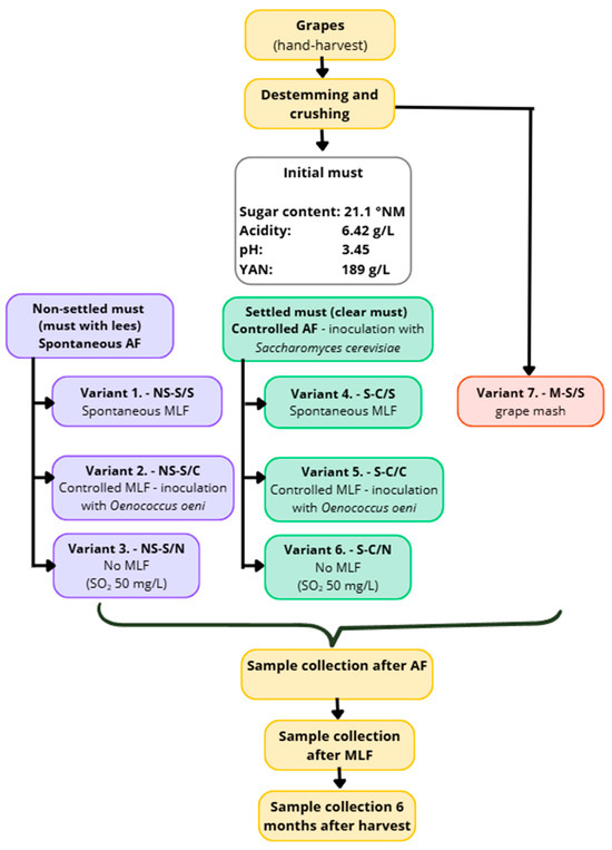 Fermentation 11 00687 g001
