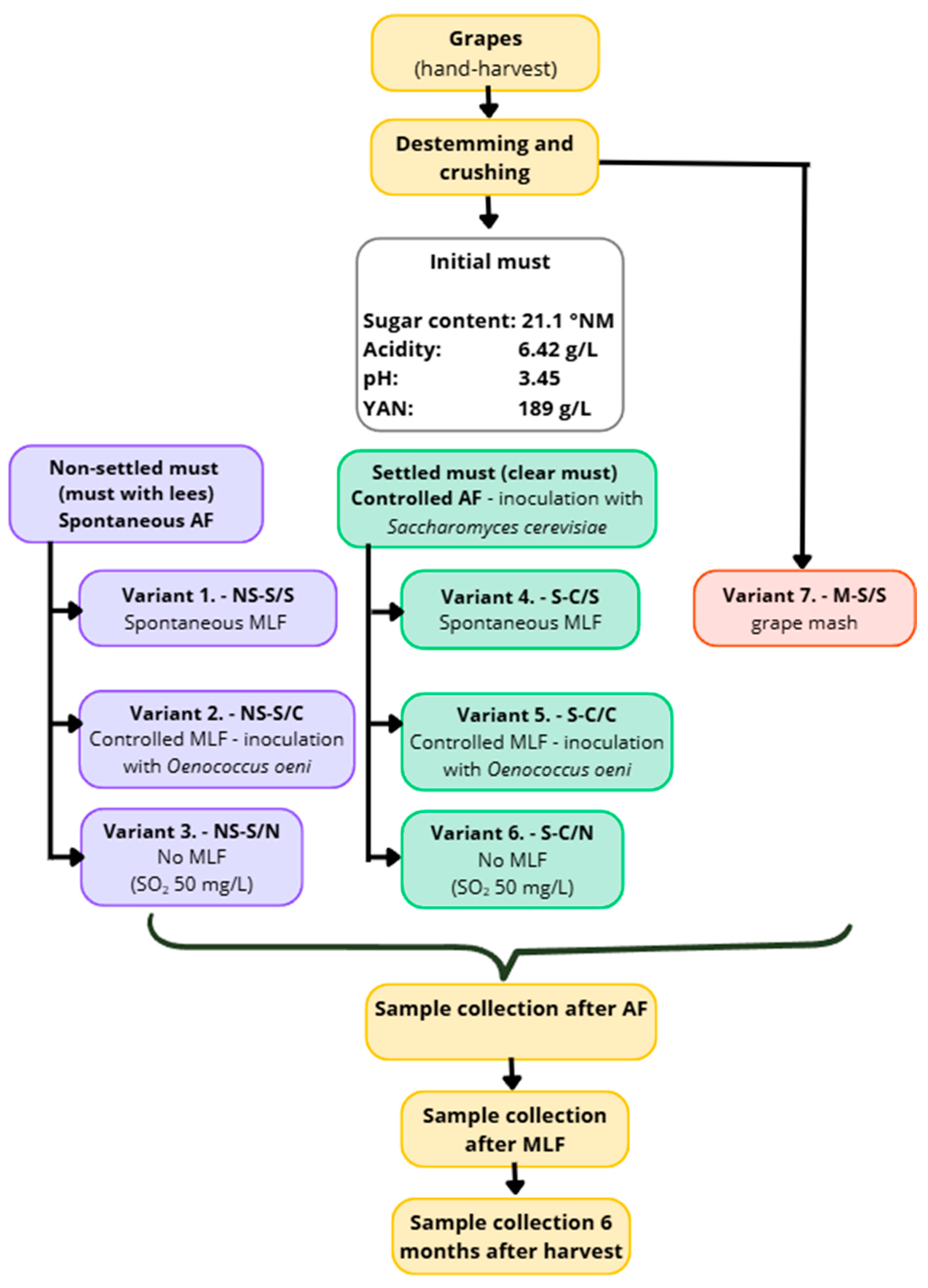 Fermentation 11 00687 g001 Fermentation 11 00687 g001