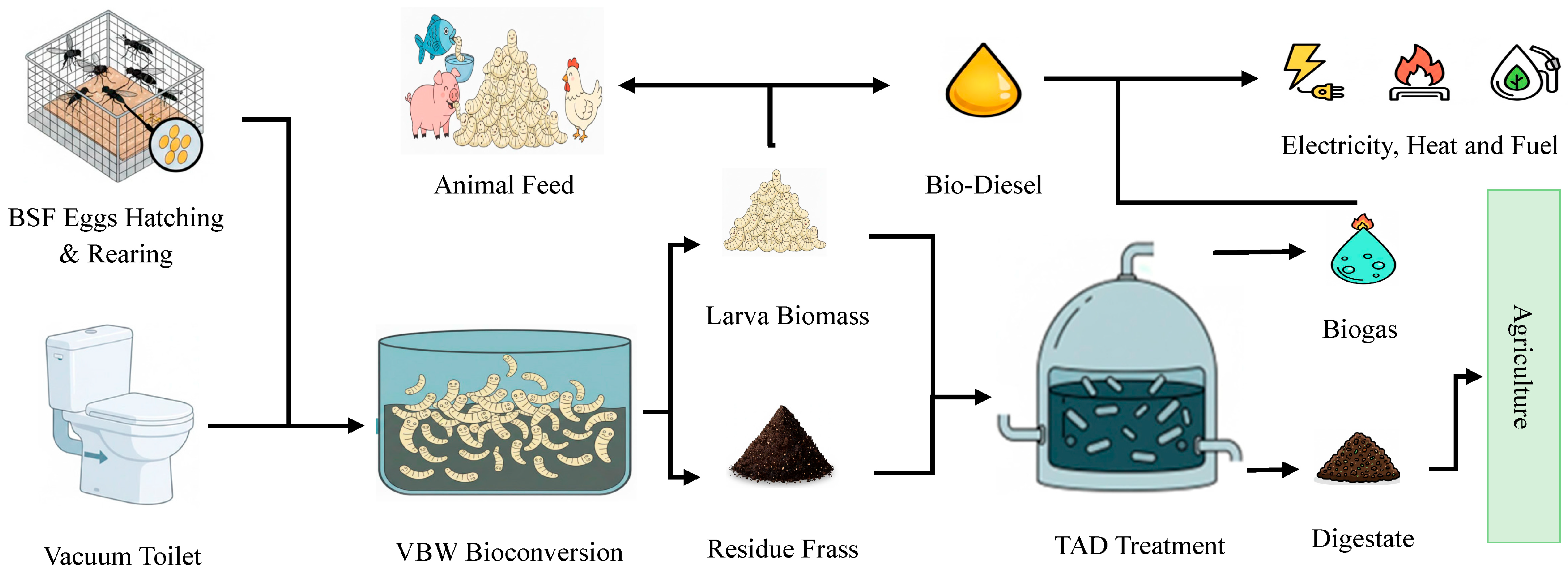 Fermentation 12 00023 g003 Fermentation 12 00023 g003