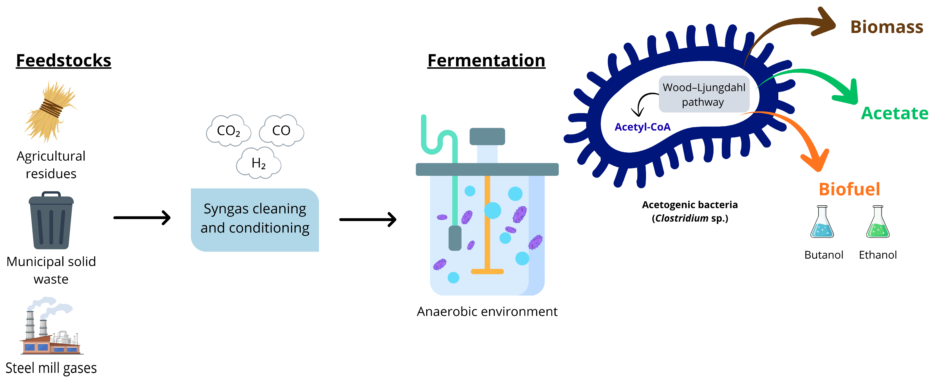Fermentation 12 00035 g005 Fermentation 12 00035 g005