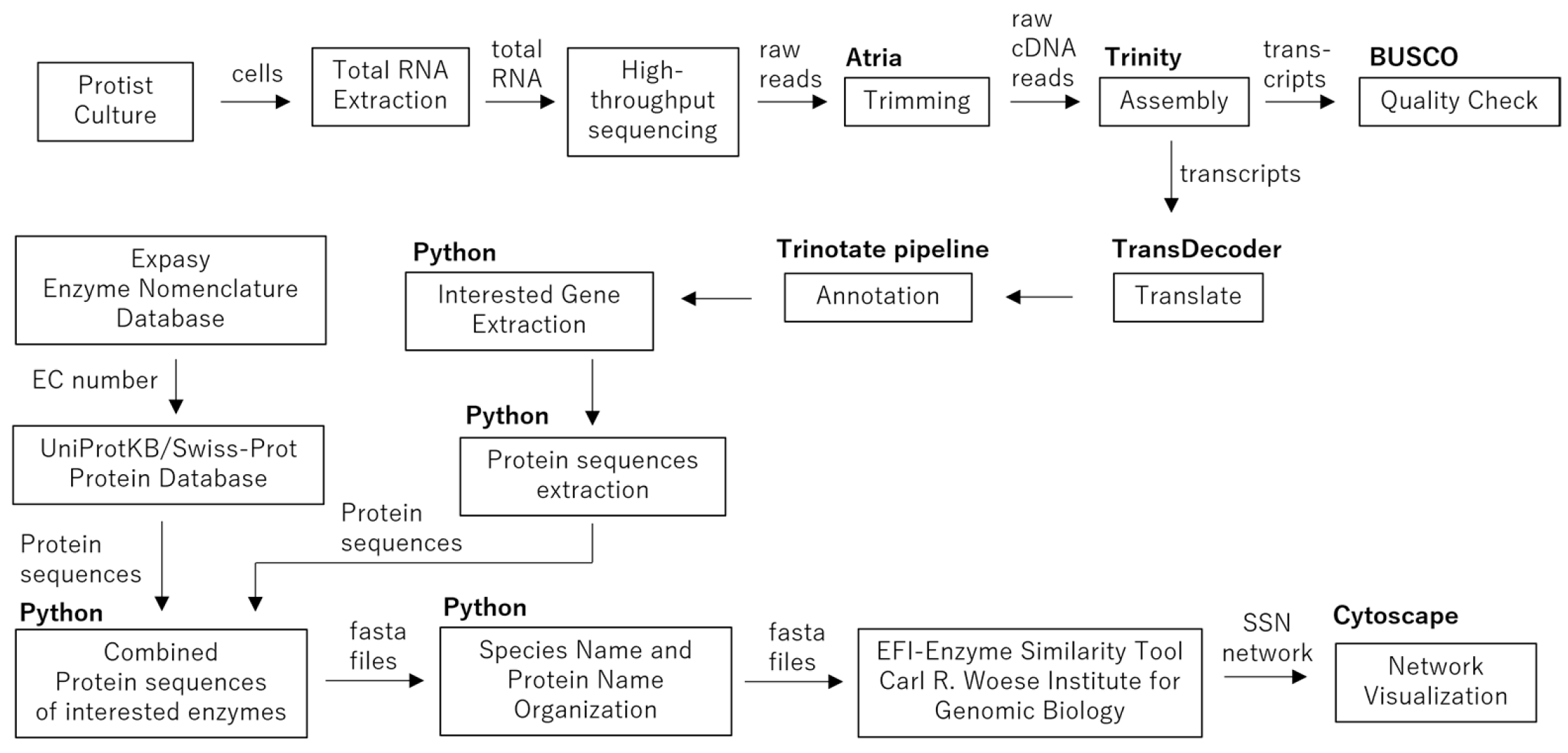 Fermentation 12 00071 g001