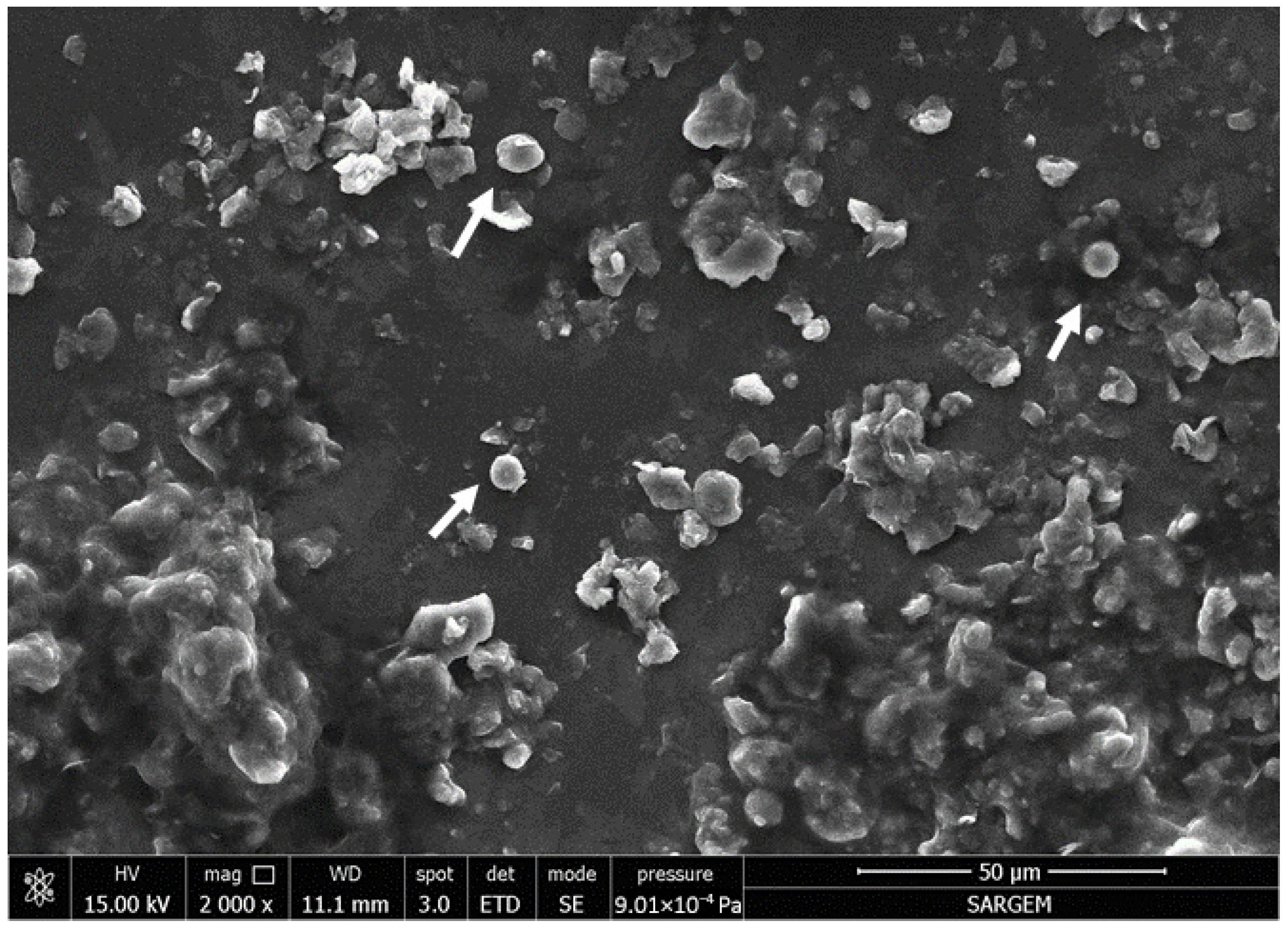 Fermentation 12 00145 g002