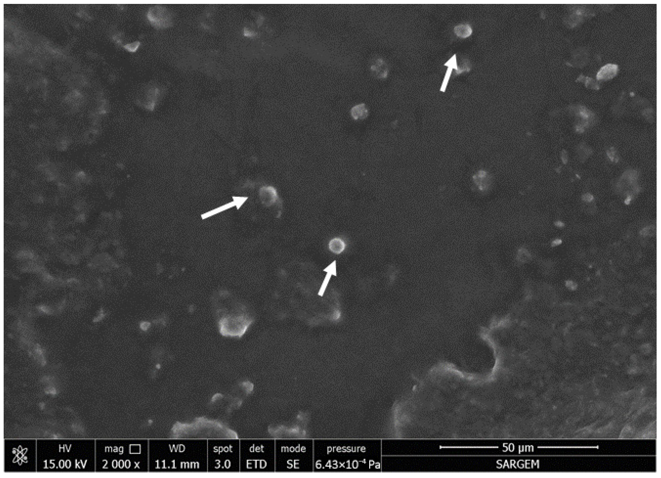 Fermentation 12 00145 g003