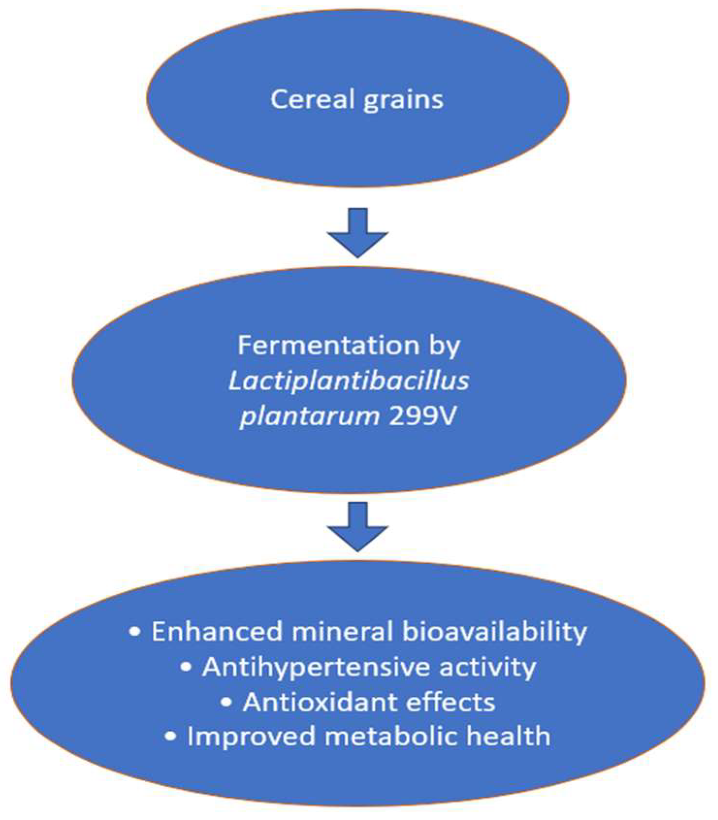 Fermentation 12 00211 g002 Fermentation 12 00211 g002