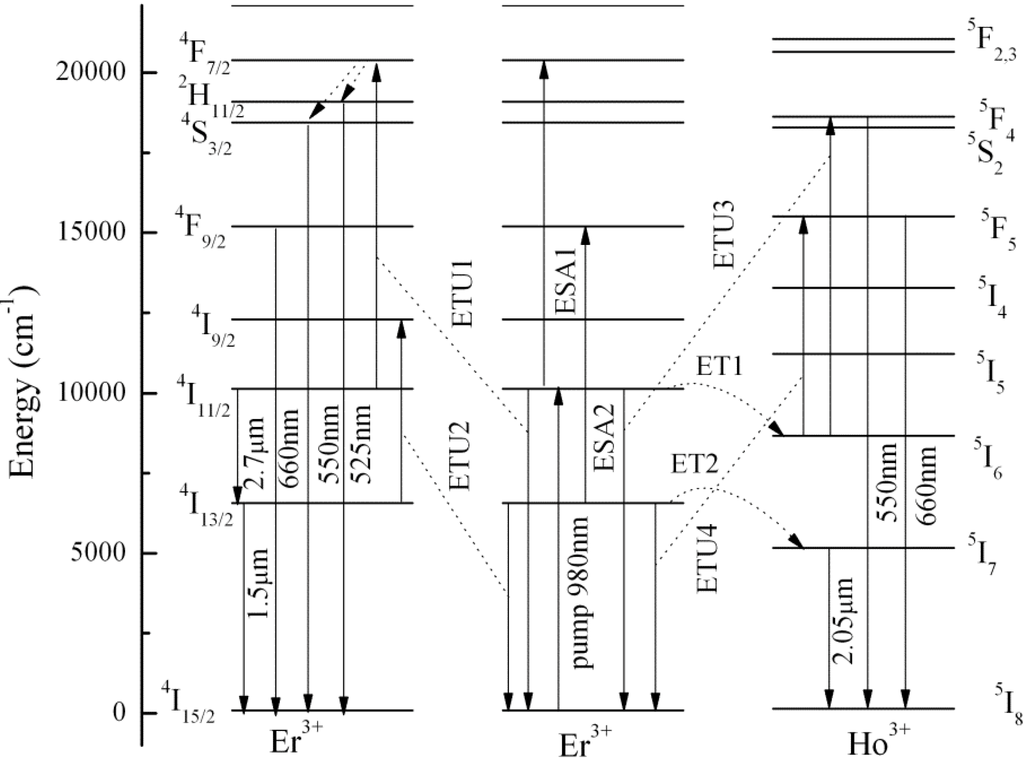Fibers 01 00011 g003 1024