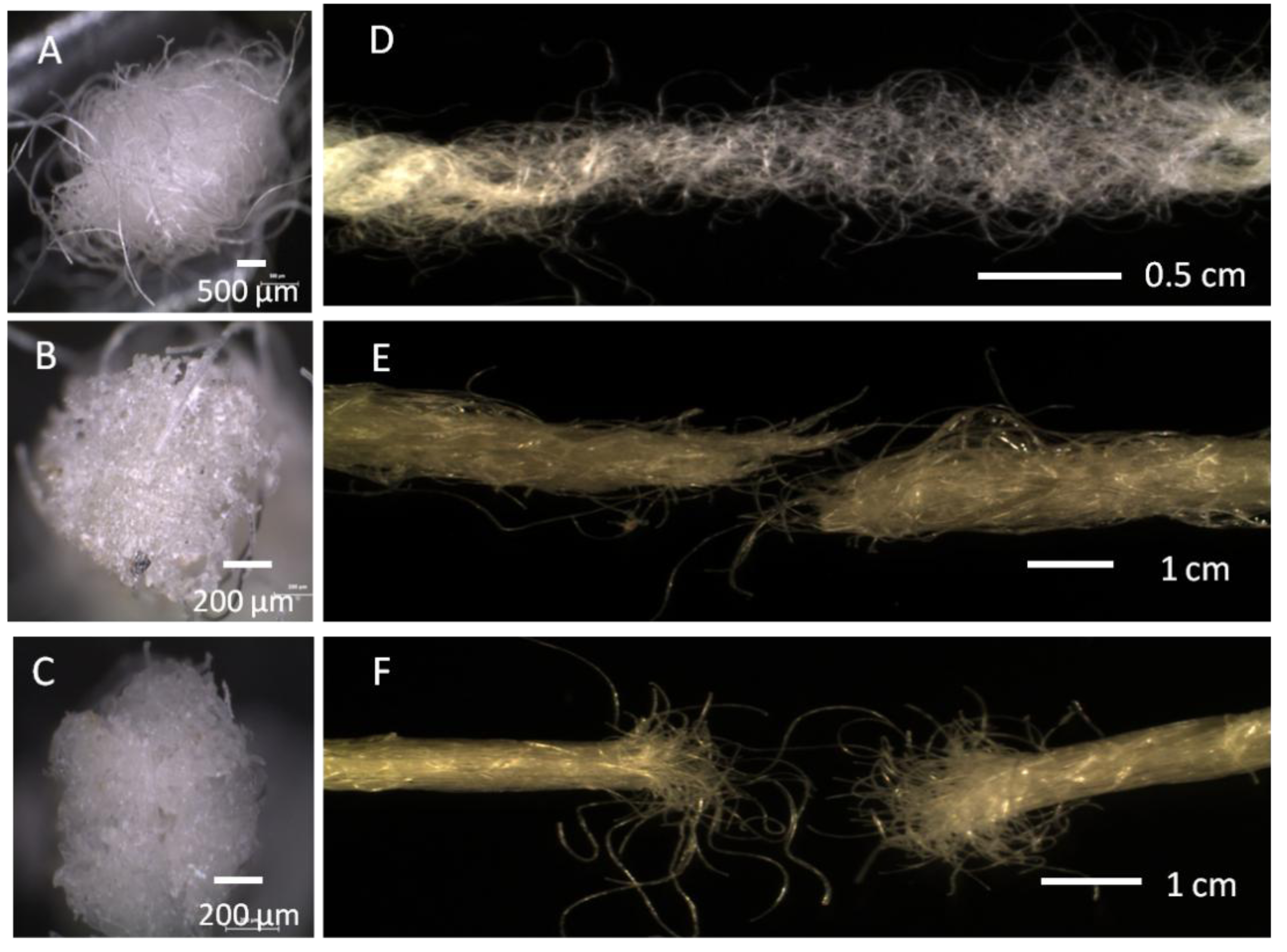 Fibers 01 00047 g002