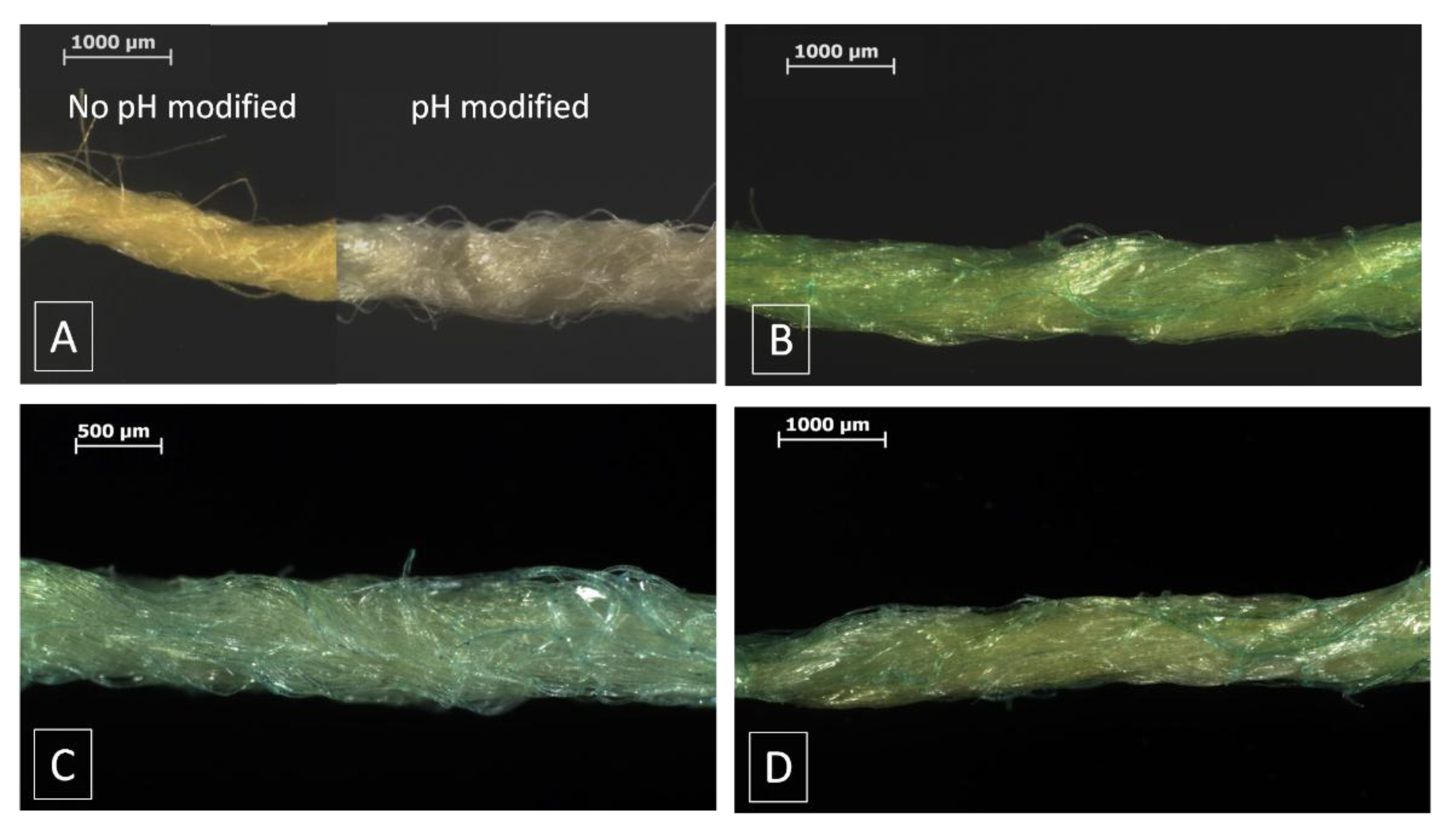 Fibers 01 00047 g004
