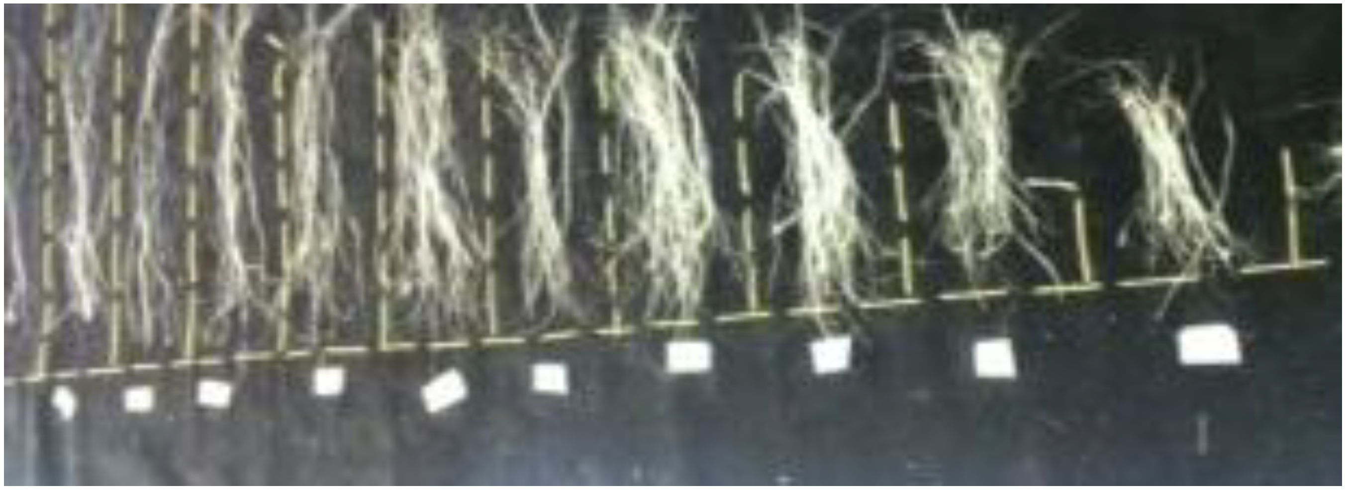 Fibers 01 00059 g002