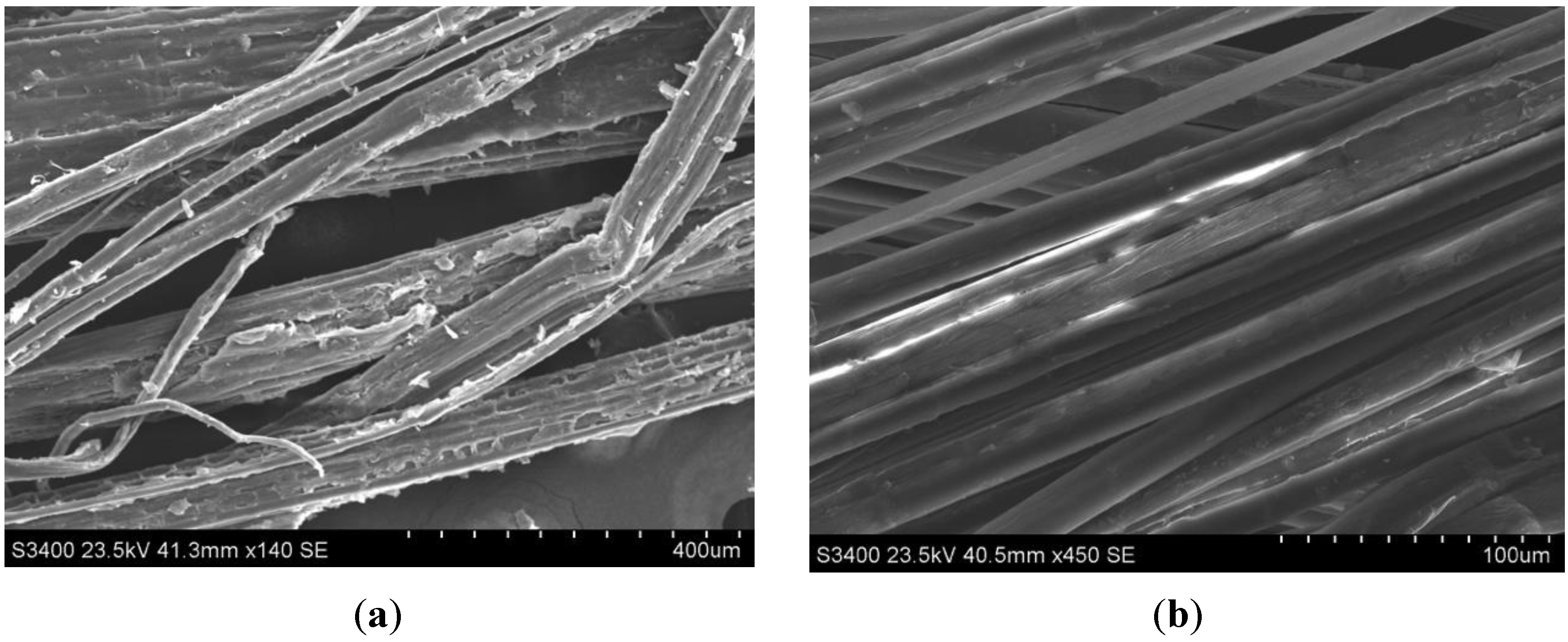 Fibers 01 00059 g004