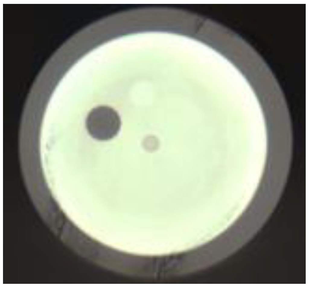 Fibers 01 00082 g001 1024