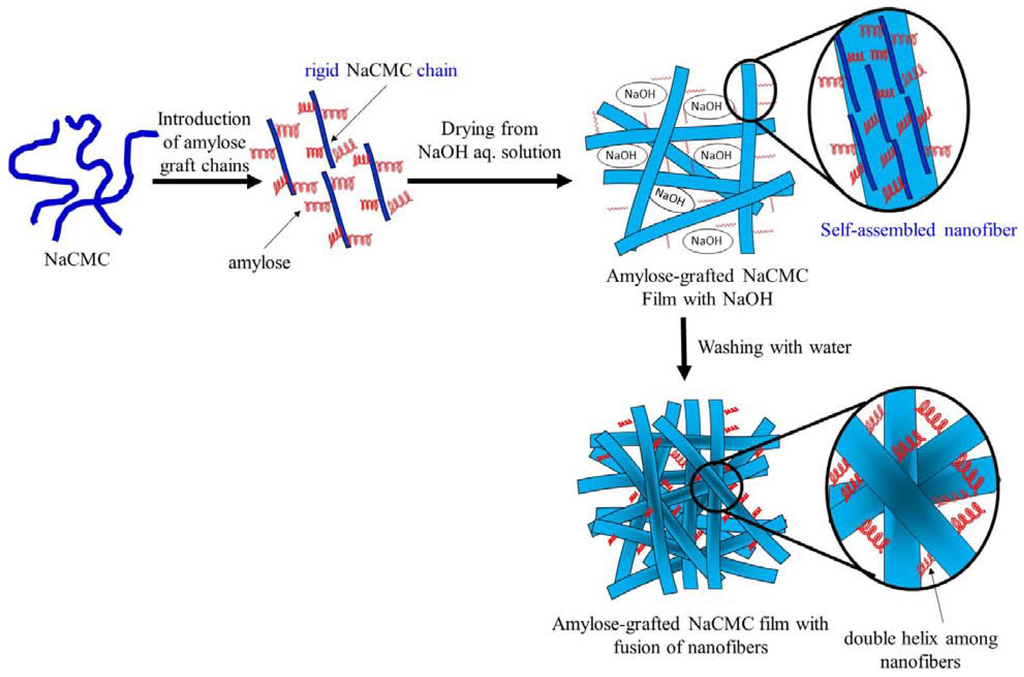 Fibers 02 00034 g004 1024