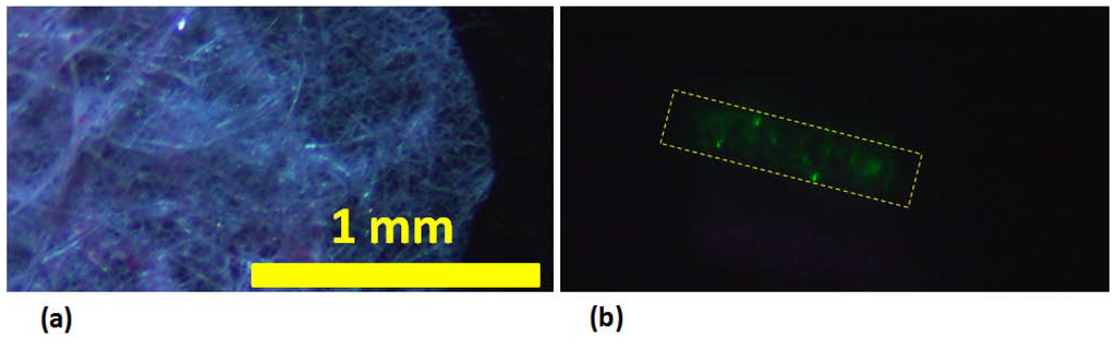 Fibers 02 00075 g004 1024