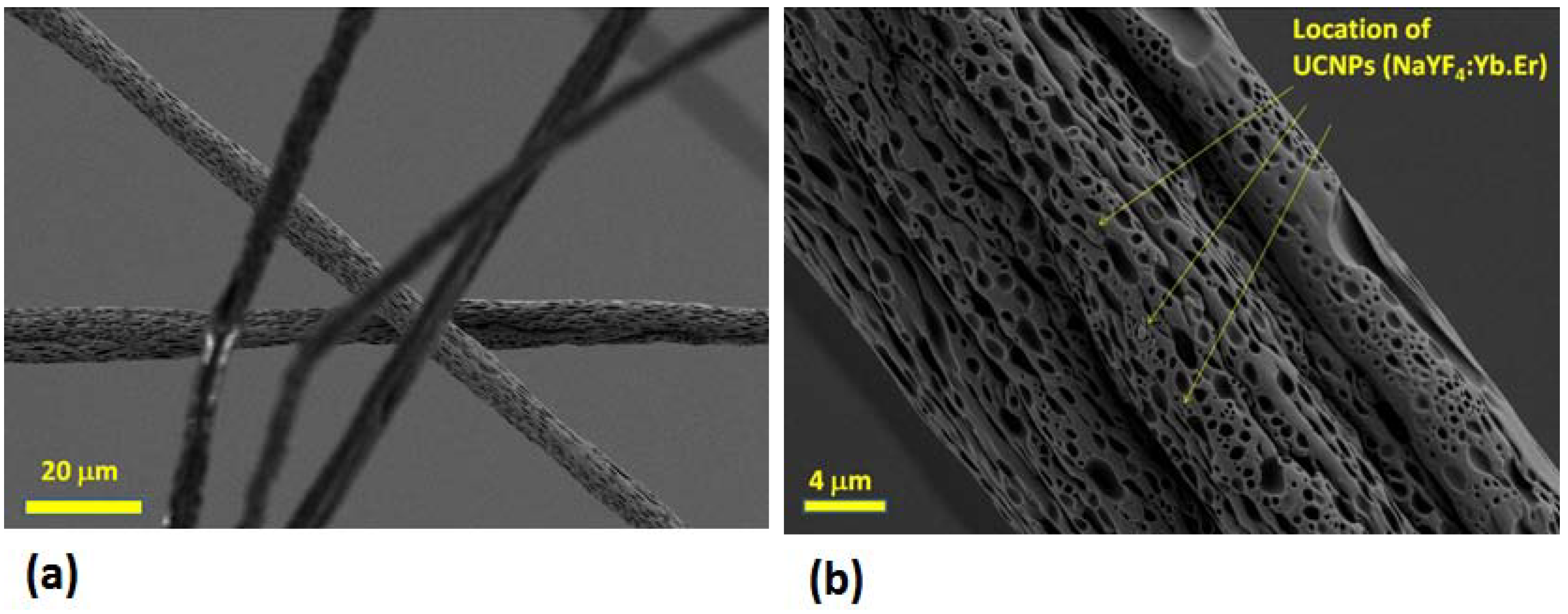 Fibers 02 00075 g006