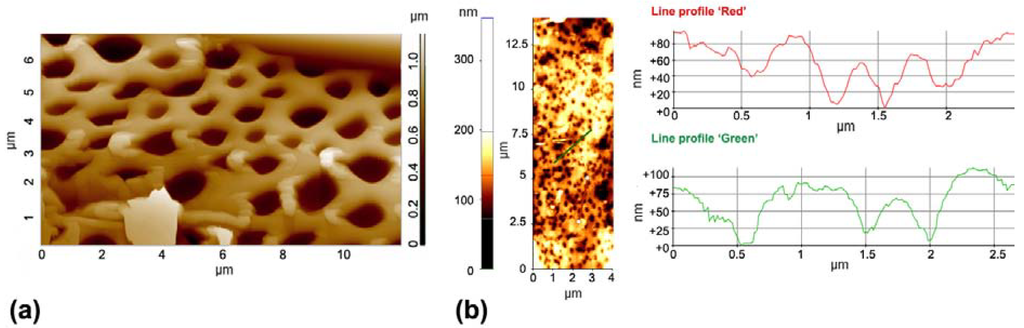 Fibers 02 00075 g008 1024