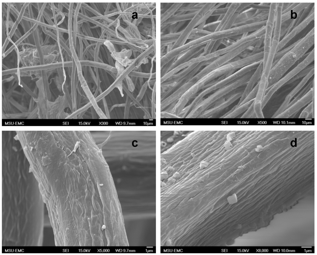 Fibers 02 00242 g002 1024