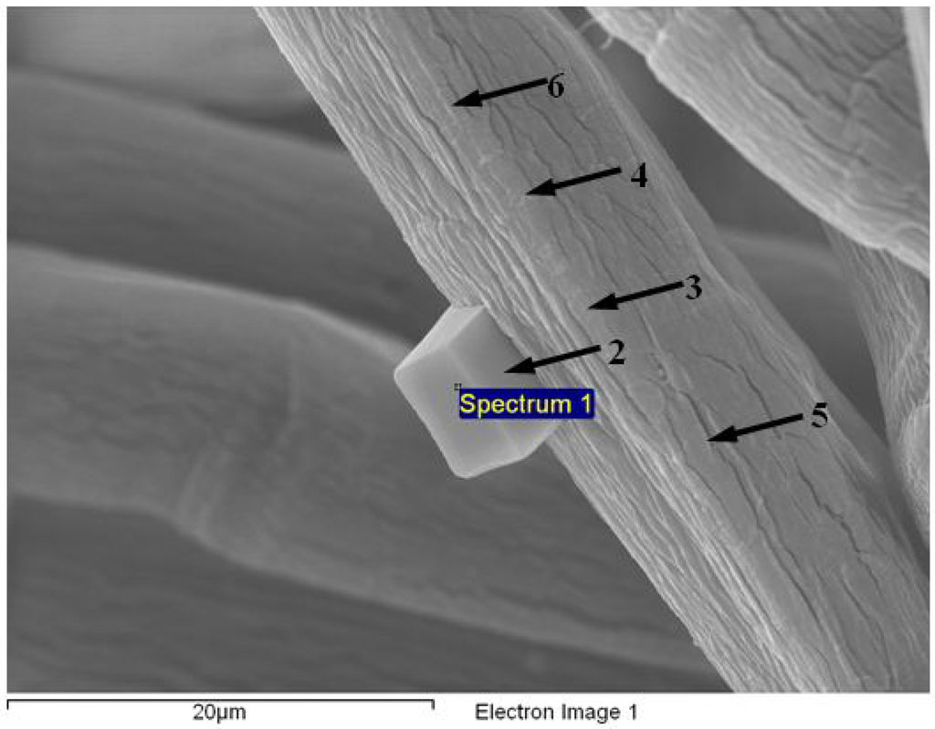 Fibers 02 00242 g003 1024