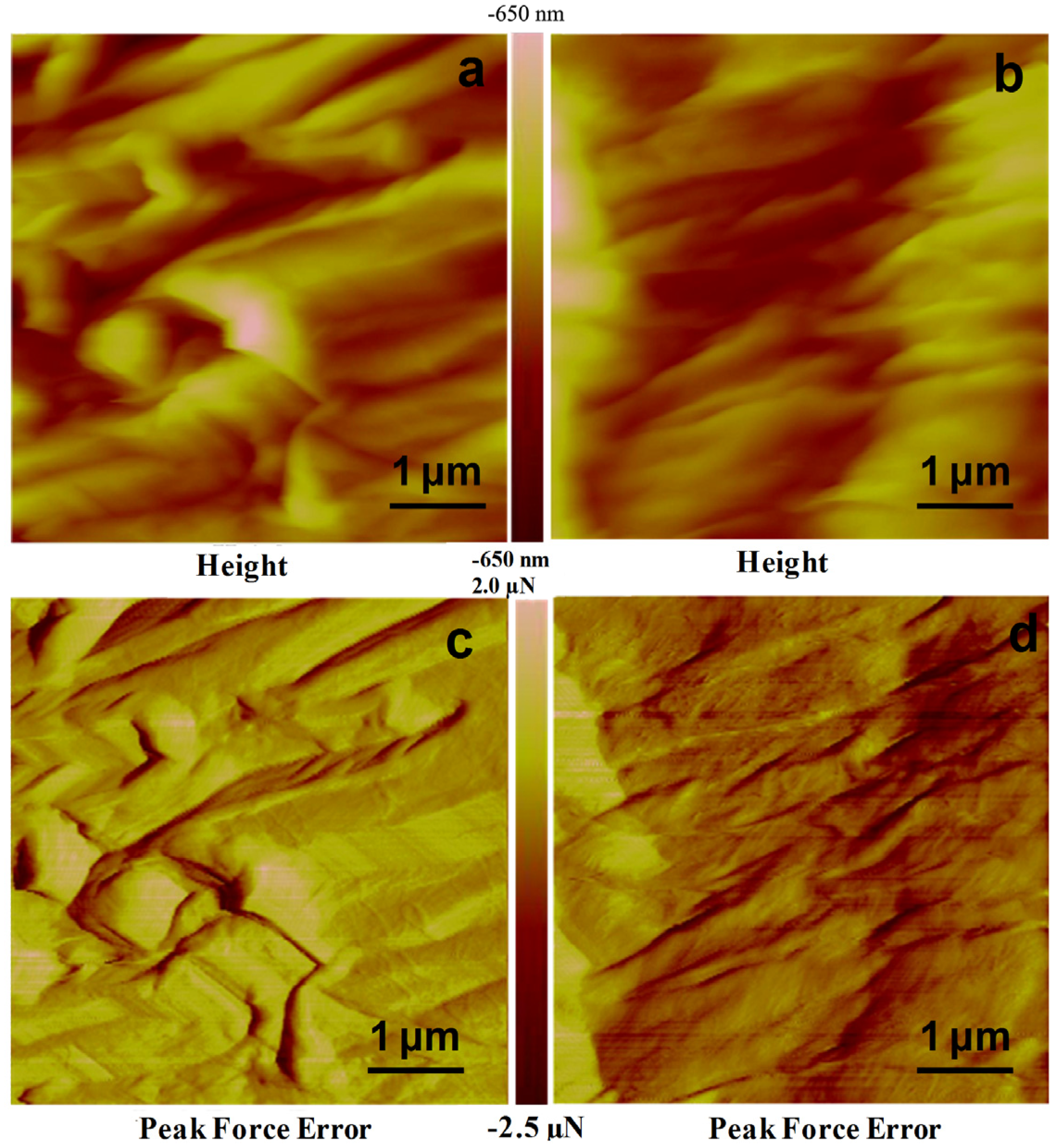 Fibers 02 00242 g004