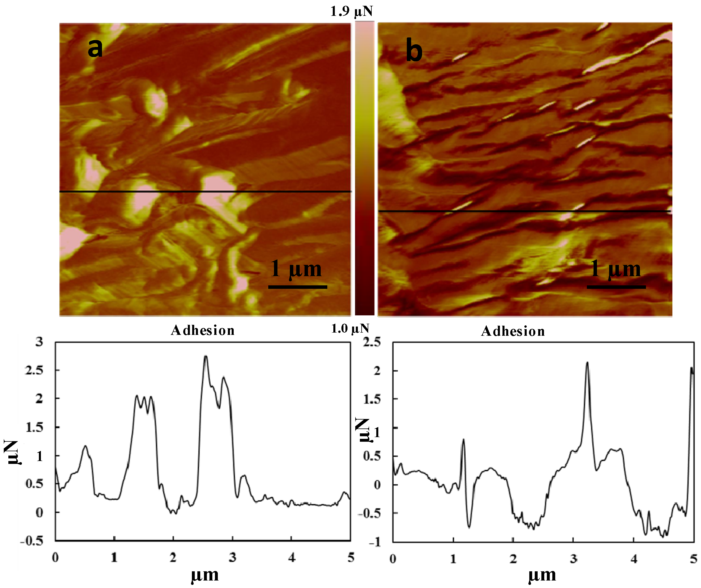 Fibers 02 00242 g005