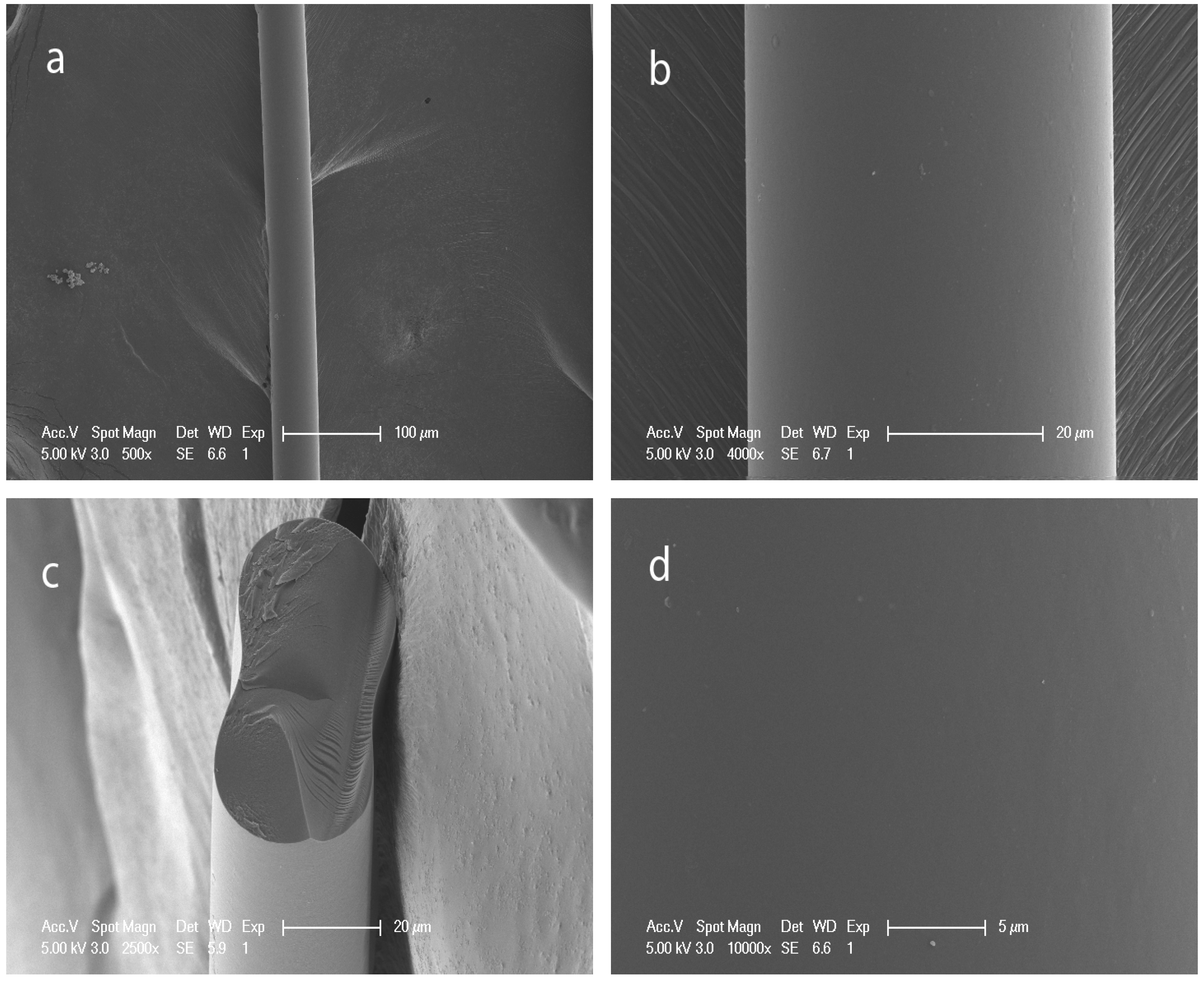 Fibers 02 00275 g002
