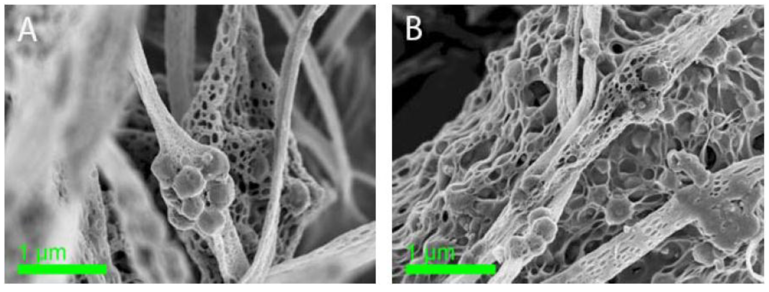 Fibers 02 00308 g003