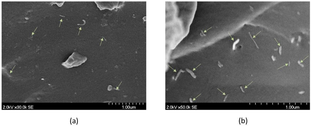 Fibers 03 00013 g009 1024