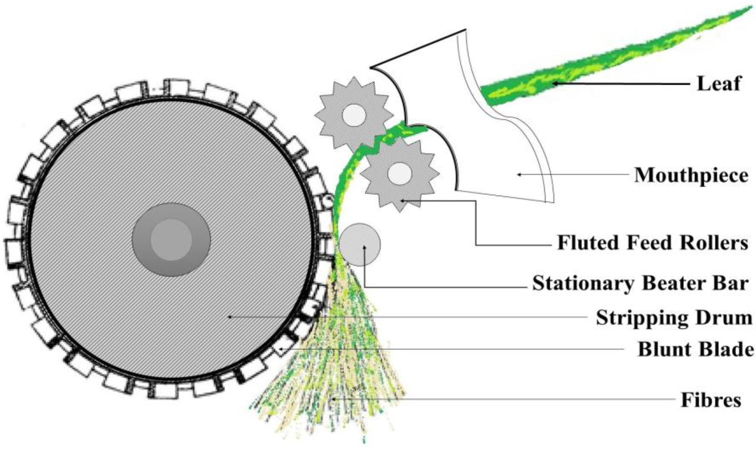 Fibers 03 00064 g002