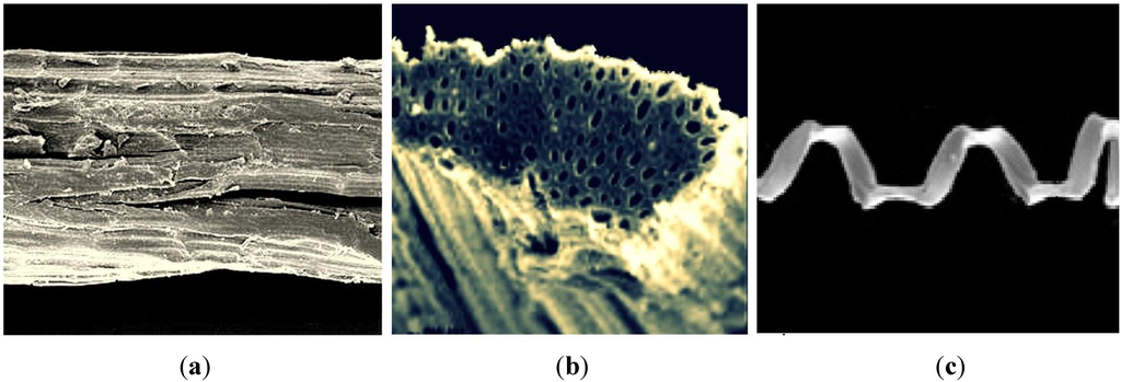Fibers 03 00064 g003 1024