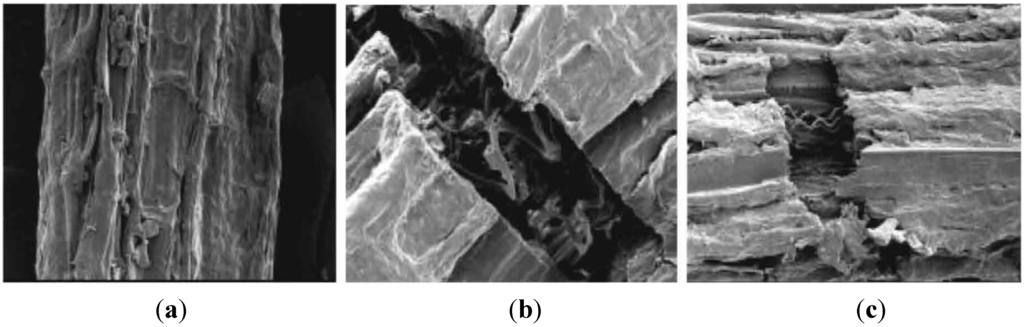 Fibers 03 00064 g004 1024