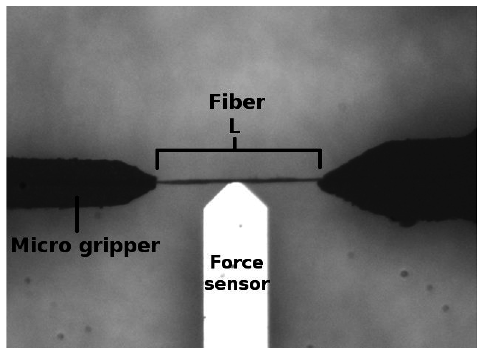 Fibers 03 00103 g001