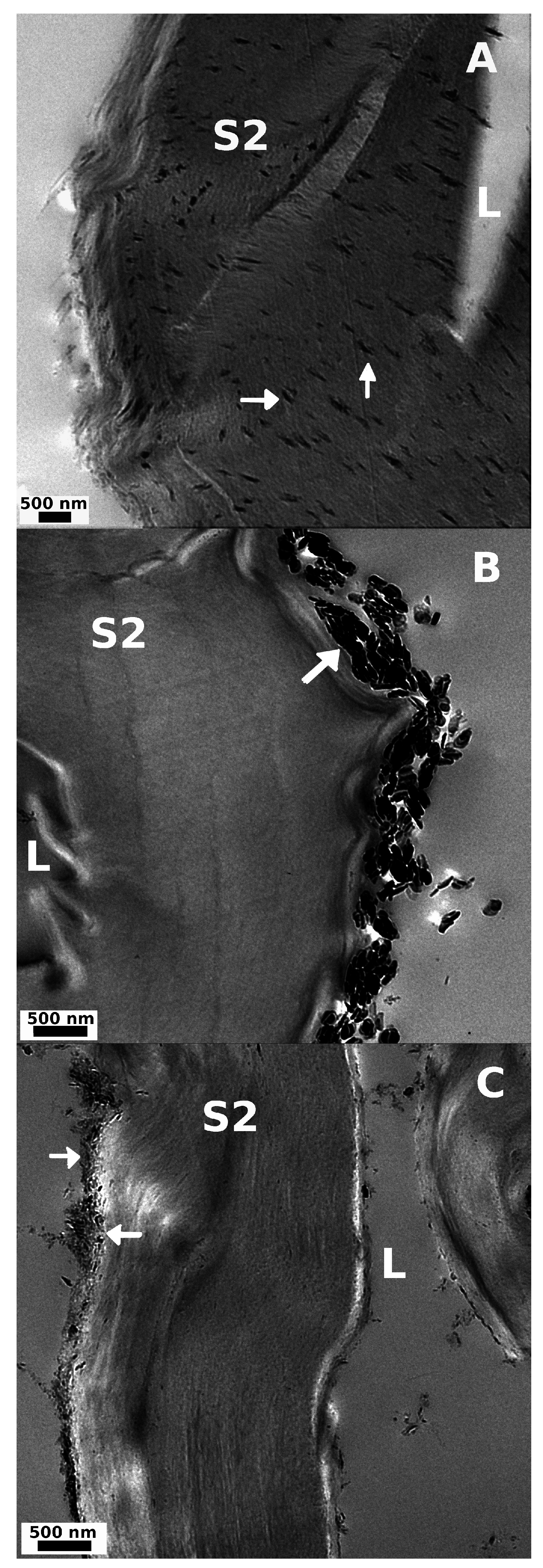 Fibers 03 00103 g006