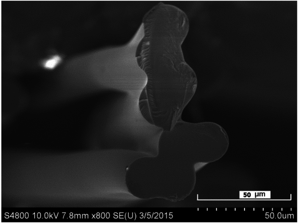 Fibers 03 00184 g003 1024