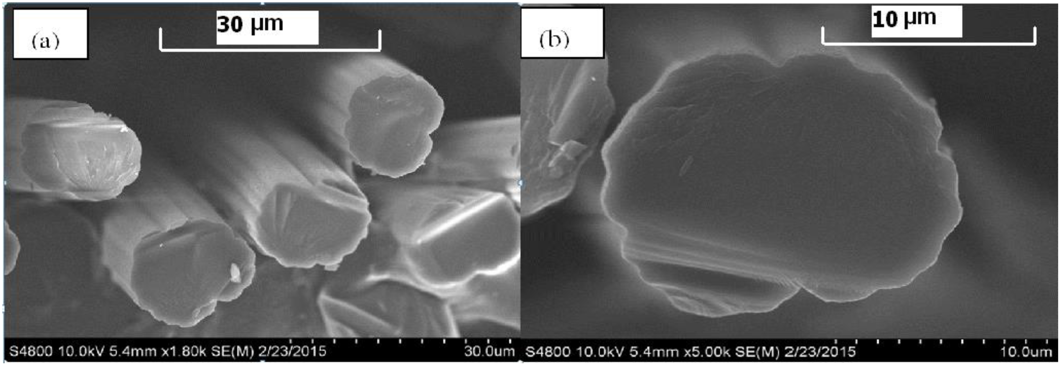 Fibers 03 00184 g007
