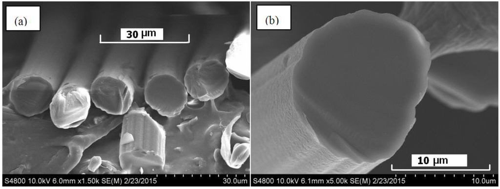 Fibers 03 00184 g008 1024