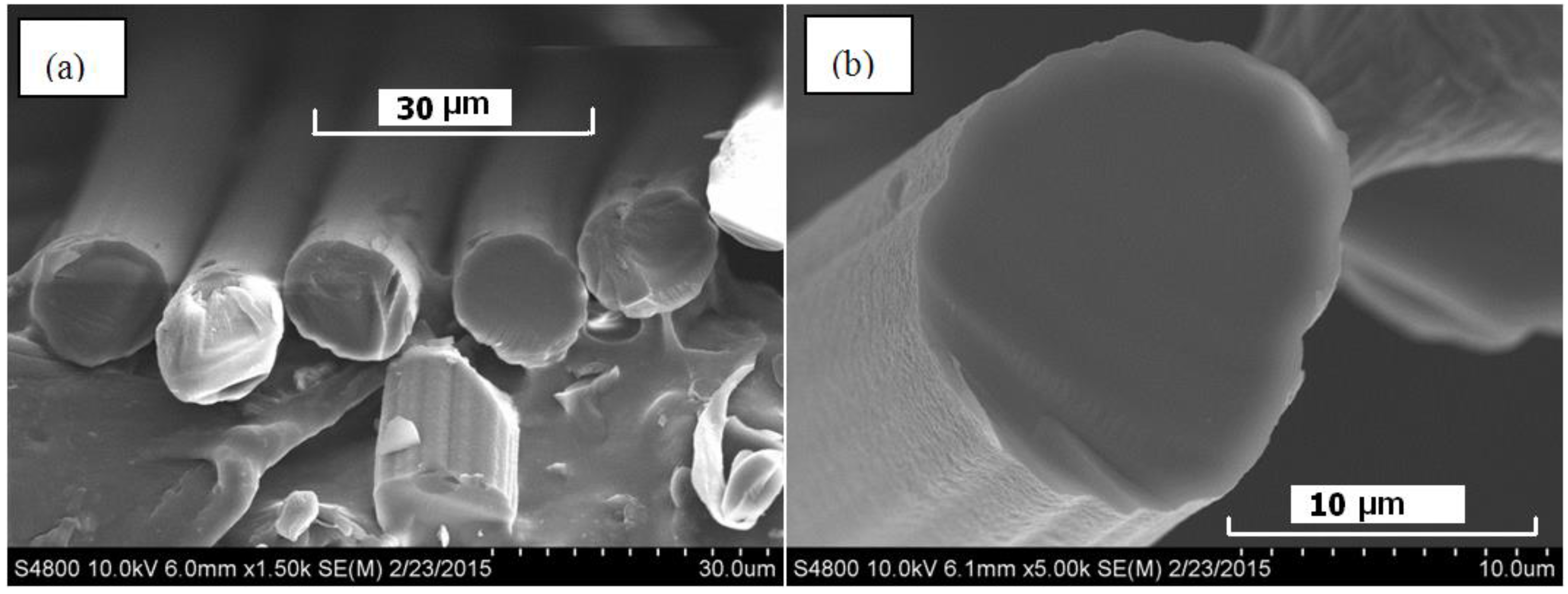 Fibers 03 00184 g008