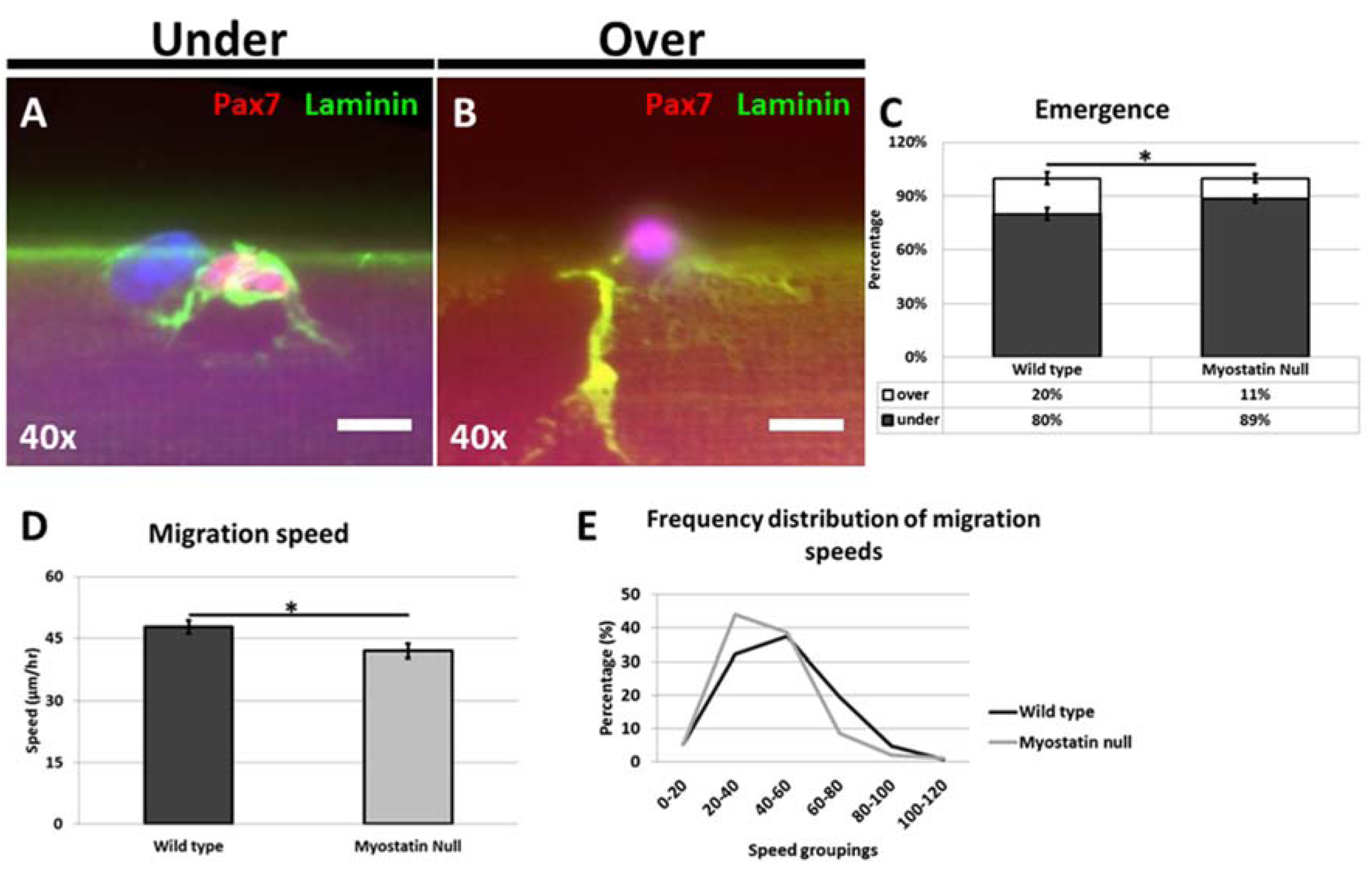 Fibers 03 00253 g001