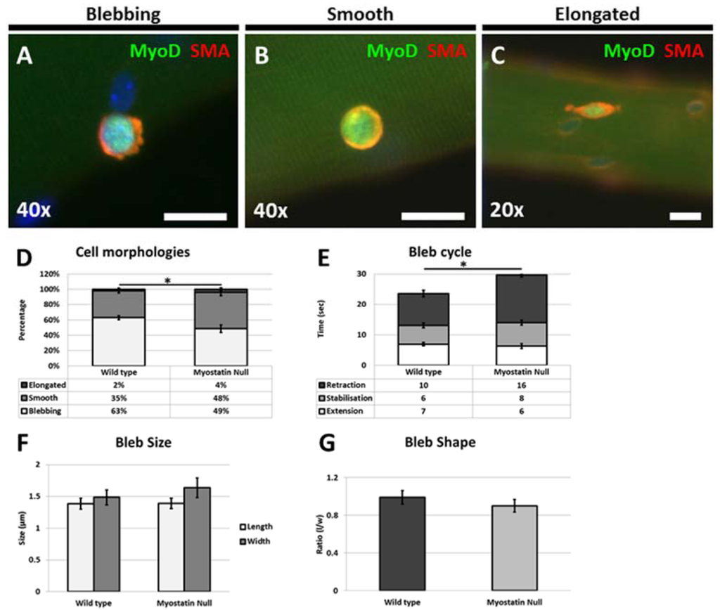 Fibers 03 00253 g002 1024