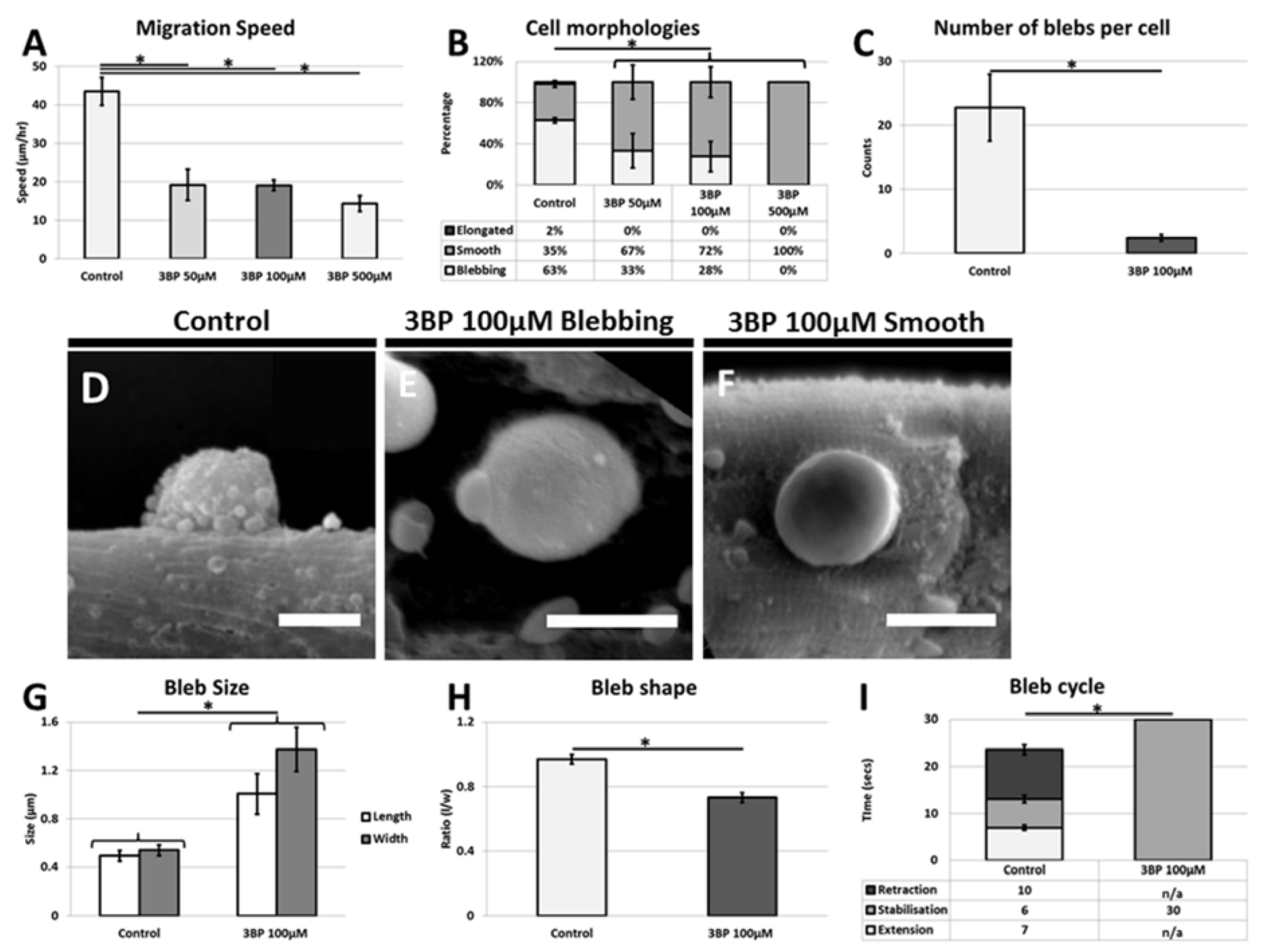 Fibers 03 00253 g004