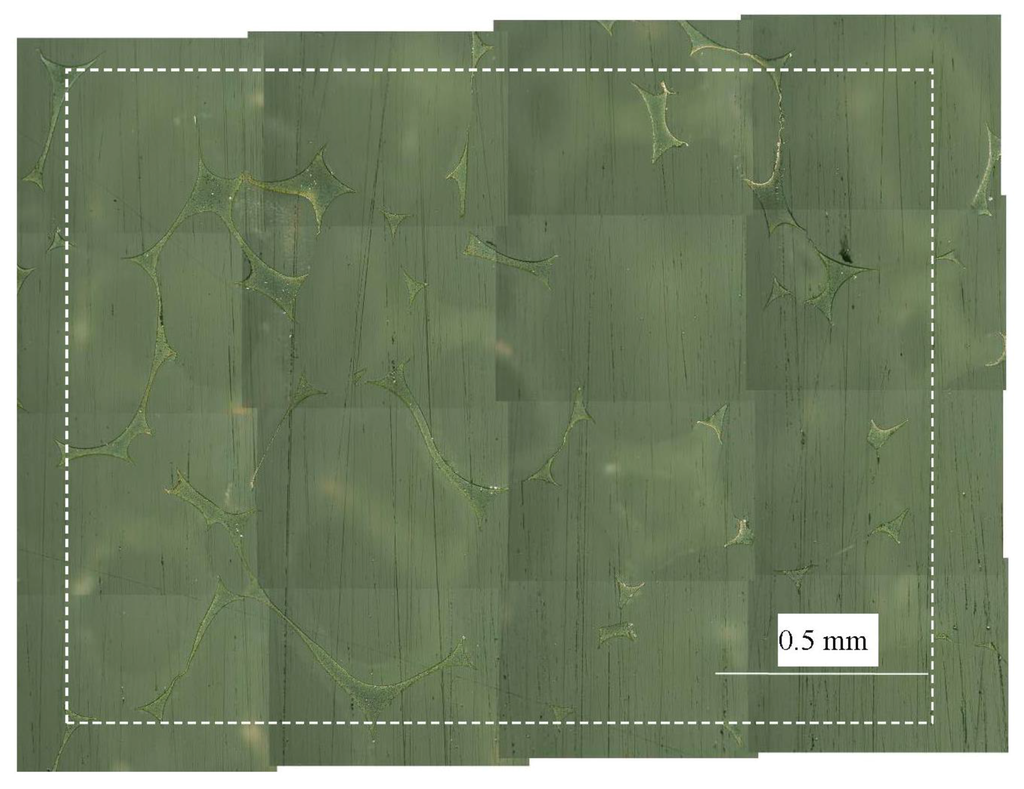 Fibers 03 00463 g006 1024