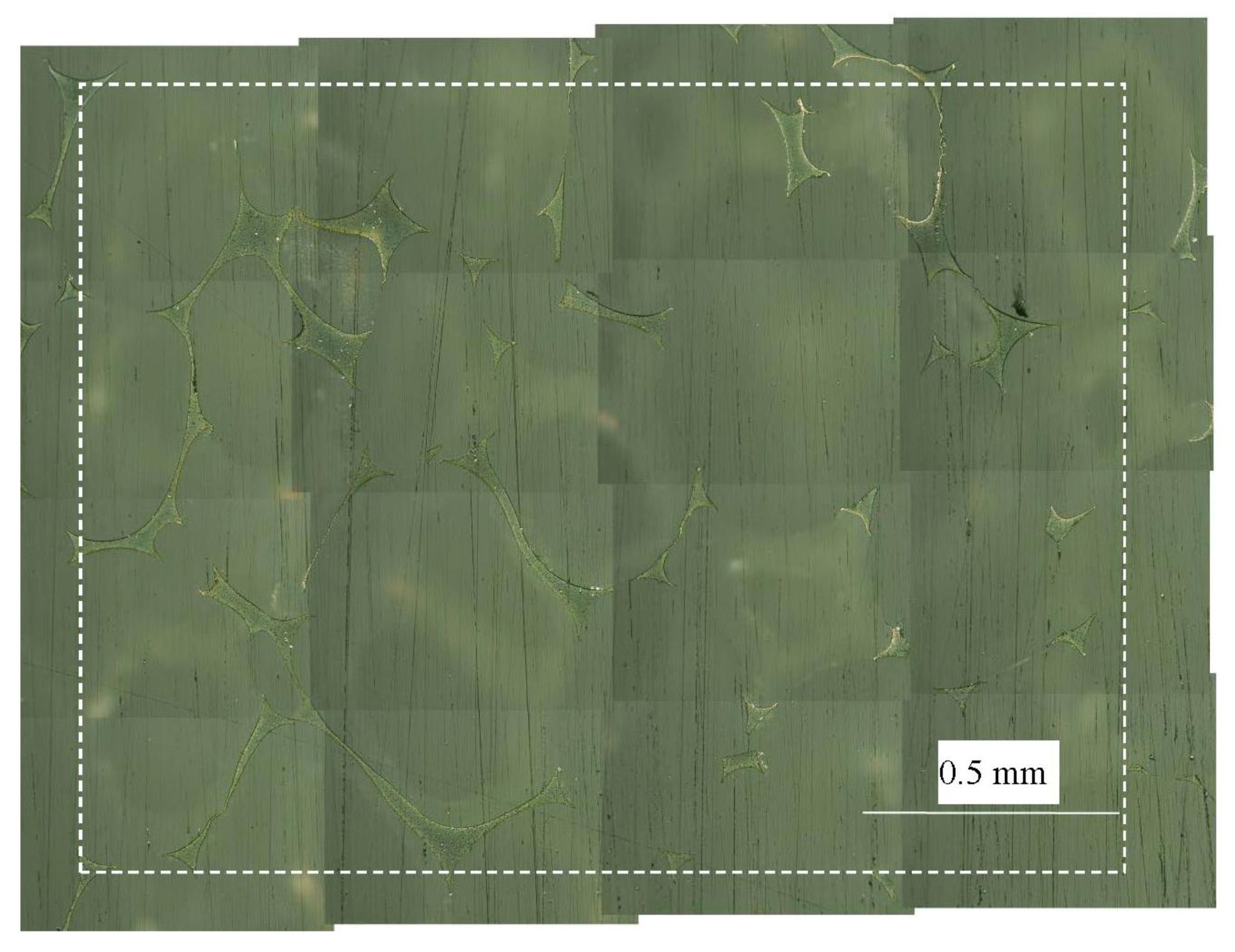 Fibers 03 00463 g006