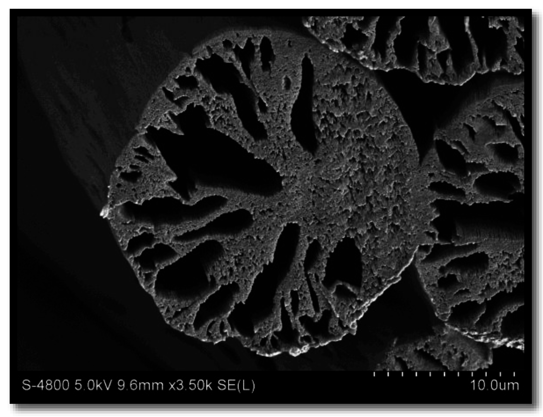 Fibers 03 00560 g001