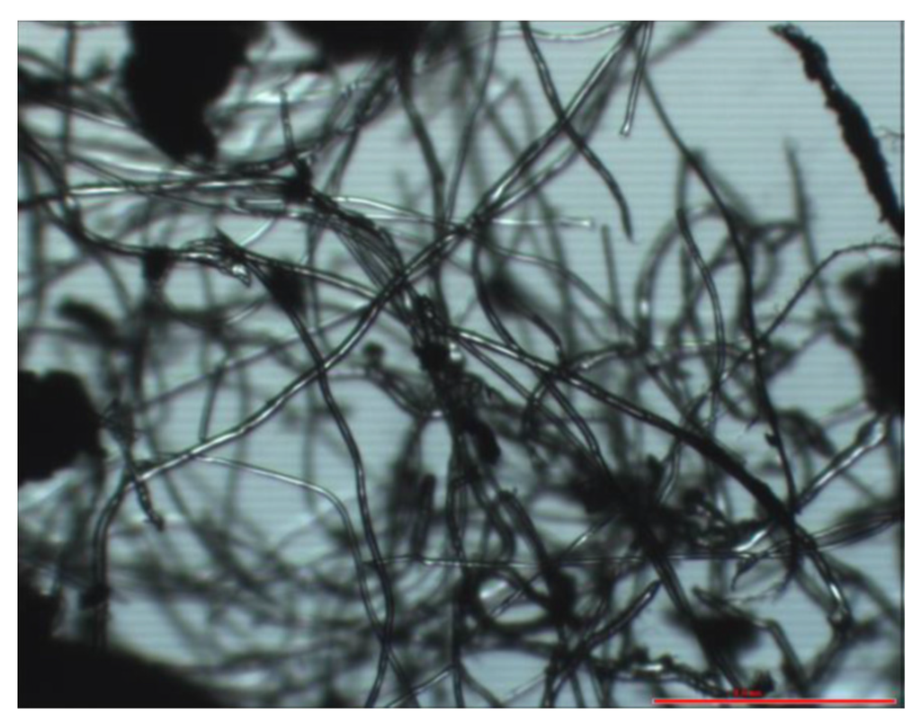 Fibers 04 00007 g002 1024